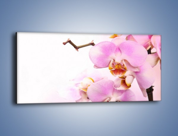 Obraz na płótnie – Delikatny motyw z kwiatami – jednoczęściowy panoramiczny K815