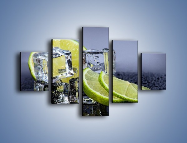 Obraz na płótnie – Plastry limonki o zmroku – pięcioczęściowy JN496W1