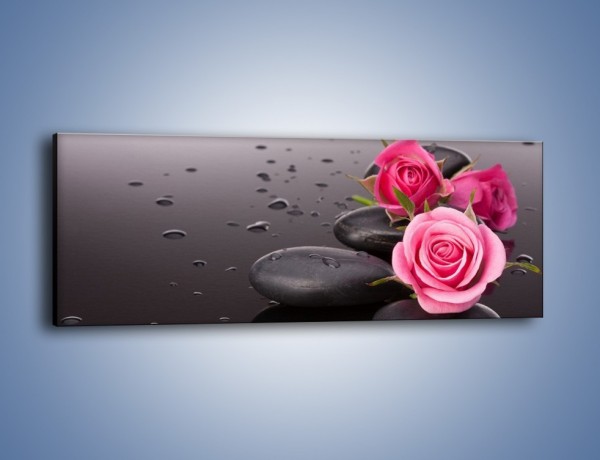 Obraz na płótnie – Róże na mokrych kamieniach – jednoczęściowy panoramiczny K822