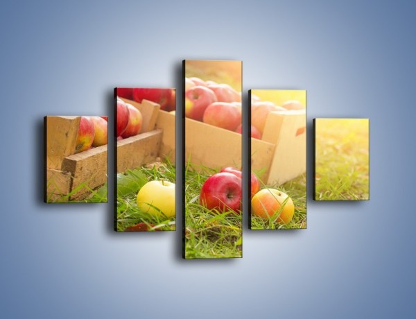 Obraz na płótnie – Jabłka skąpane w trawie – pięcioczęściowy JN628W1