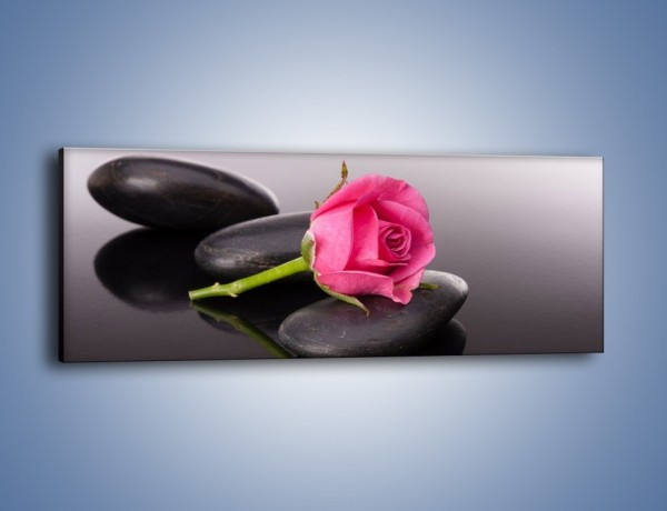 Obraz na płótnie – Ścięta róża na czarnej tafli – jednoczęściowy panoramiczny K832