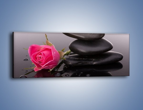 Obraz na płótnie – Róża schowana za kamieniem – jednoczęściowy panoramiczny K833