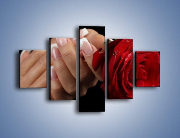 Obraz na płótnie – Kwiat róży w kobiecych dłoniach – pięcioczęściowy K006W1