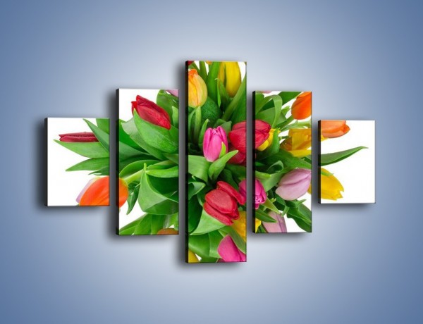 Obraz na płótnie – Wiązanka kolorowych tulipanów – pięcioczęściowy K019W1