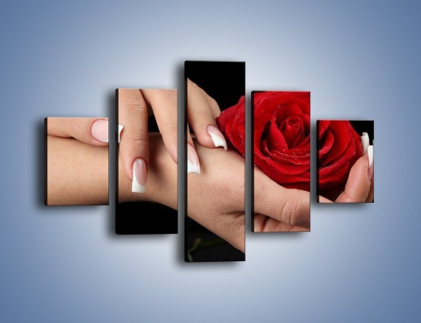 Obraz na płótnie – Czerwona róża w dłoni – pięcioczęściowy K037W1