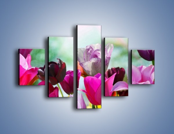 Obraz na płótnie – Tulipany o poranku – pięcioczęściowy K081W1