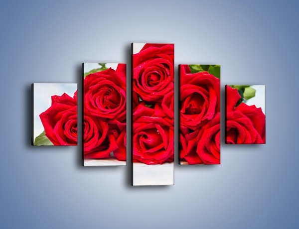 Obraz na płótnie – Czerwone róże bez kolców – pięcioczęściowy K1021W1