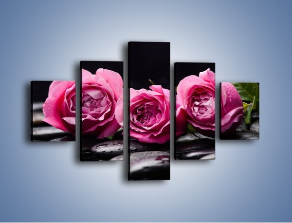 Obraz na płótnie – Malutkie różane trio – pięcioczęściowy K1027W1