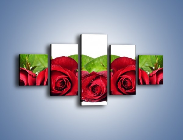 Obraz na płótnie – Pięknie ułożone róże – pięcioczęściowy K108W1