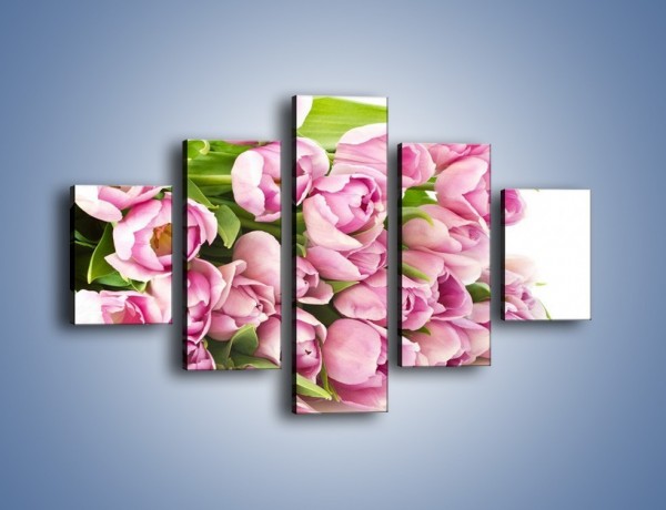 Obraz na płótnie – Ścięte tulipany w bieli – pięcioczęściowy K110W1