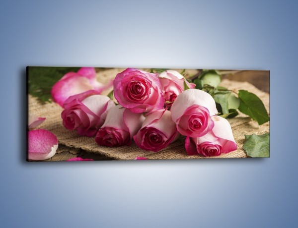 Obraz na płótnie – Zapomniane chwile wśród róż – jednoczęściowy panoramiczny K838