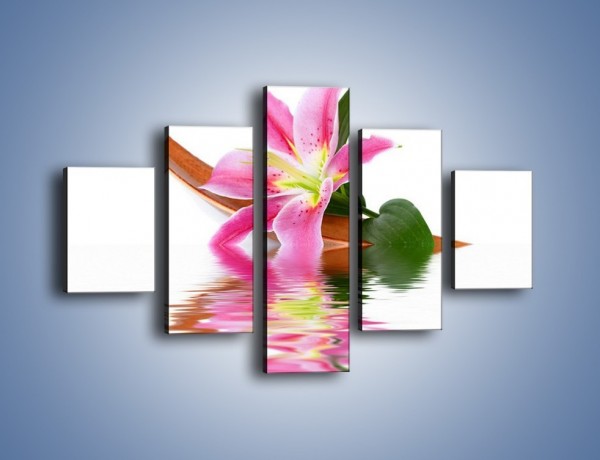 Obraz na płótnie – Odbicie wodne lilii – pięcioczęściowy K142W1