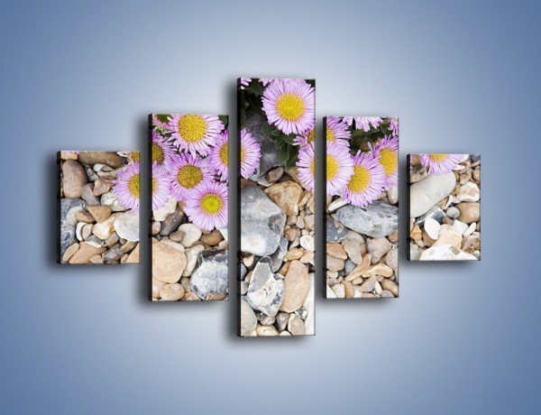 Obraz na płótnie – Kolorowe kamienie czy małe kwiatuszki – pięcioczęściowy K146W1