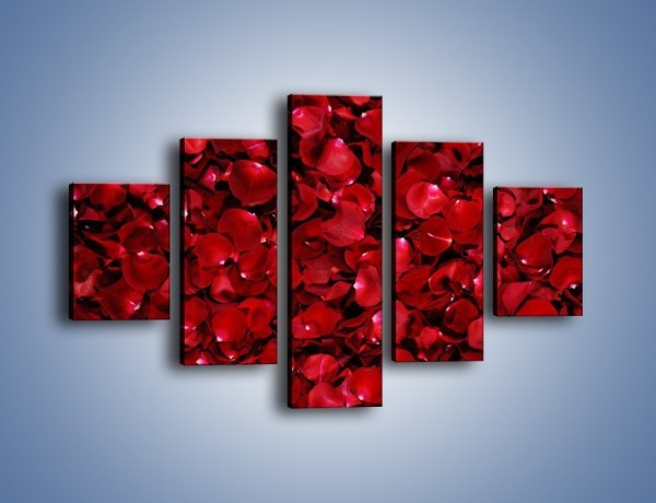 Obraz na płótnie – Dywan usłany płatkami róż – pięcioczęściowy K175W1