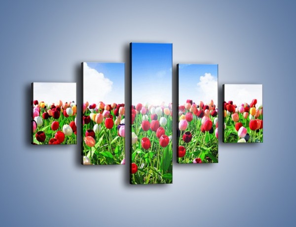 Obraz na płótnie – Droga do nieba z tulipanami – pięcioczęściowy K219W1