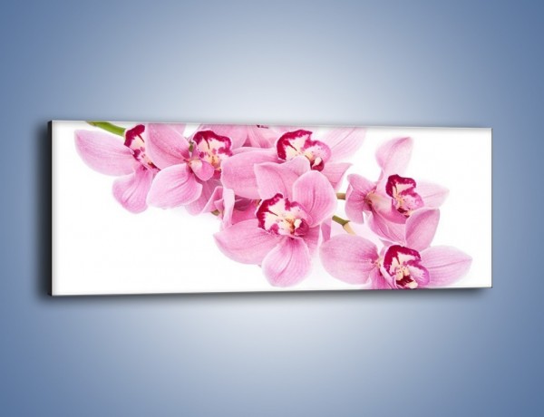 Obraz na płótnie – Dojrzała gałąź kwiatów – jednoczęściowy panoramiczny K845