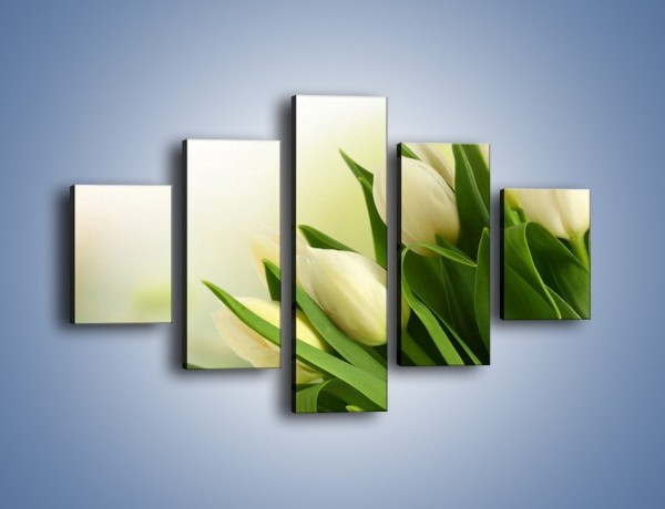 Obraz na płótnie – Białe tulipany na zgodę – pięcioczęściowy K400W1