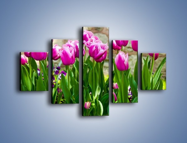 Obraz na płótnie – Tulipany w domowym ogródku – pięcioczęściowy K409W1