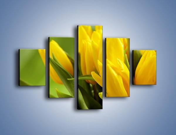 Obraz na płótnie – Słońce schowane w tulipanach – pięcioczęściowy K424W1