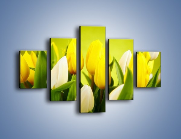 Obraz na płótnie – Nie tylko tulipany – pięcioczęściowy K425W1