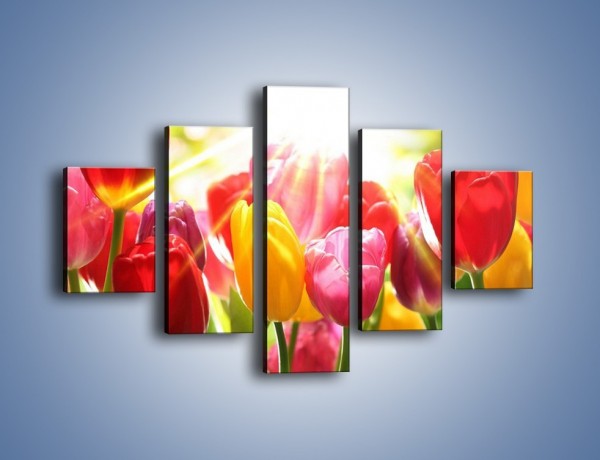 Obraz na płótnie – Bajecznie słoneczne tulipany – pięcioczęściowy K428W1