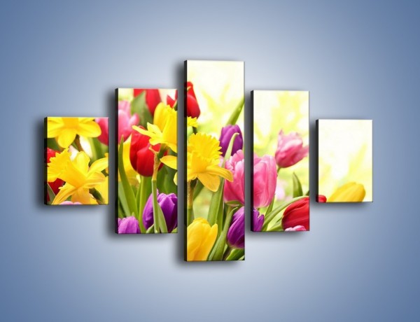Obraz na płótnie – Żonkile wśród tulipanów – pięcioczęściowy K430W1