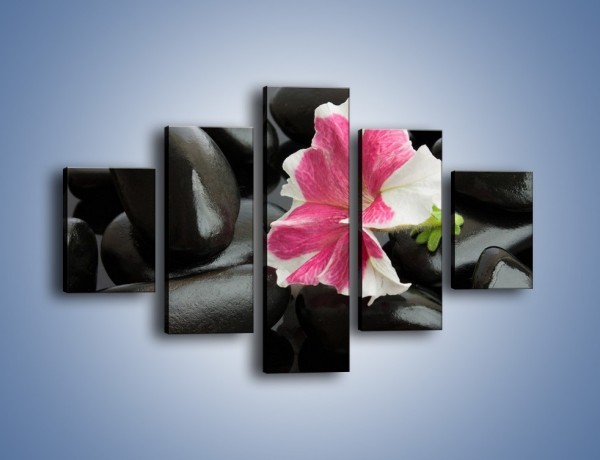 Obraz na płótnie – Kwiat zakopany w kamieniach – pięcioczęściowy K521W1