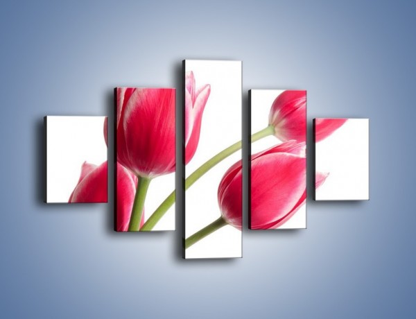 Obraz na płótnie – Pięć razy tulipany – pięcioczęściowy K551W1