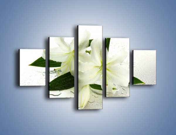 Obraz na płótnie – Niewinność białej lilii – pięcioczęściowy K632W1