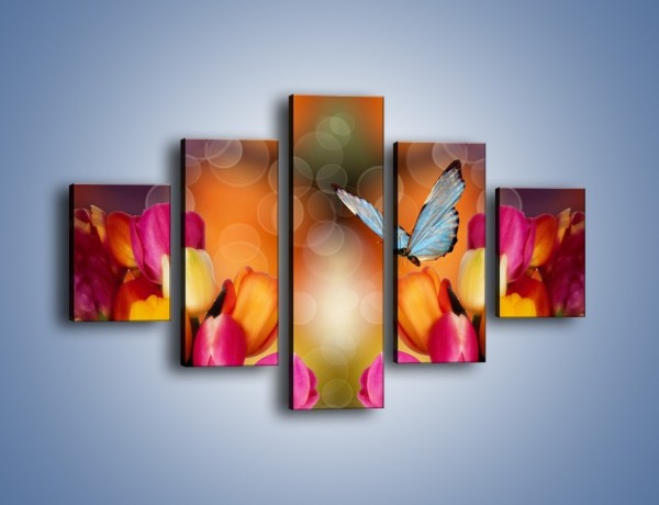 Obraz na płótnie – Motyl wśród tulipanów – pięcioczęściowy K635W1
