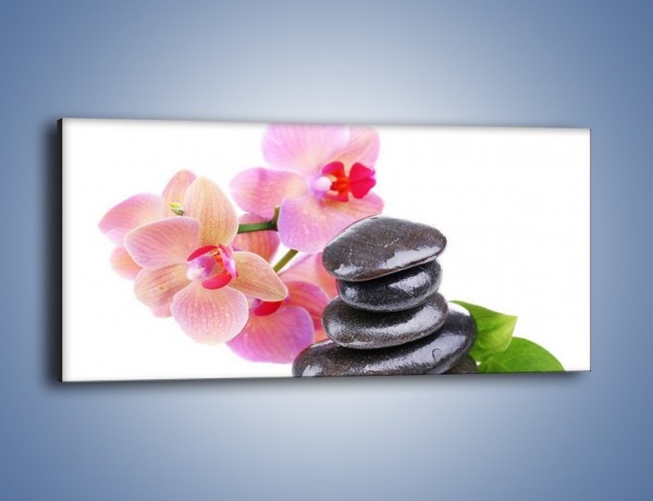 Obraz na płótnie – Kamień liść czy kwiaty – jednoczęściowy panoramiczny K856