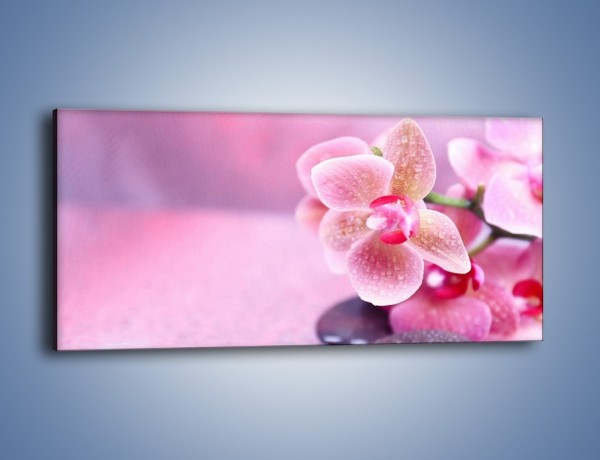 Obraz na płótnie – Mokry kwiatowy pejzaż – jednoczęściowy panoramiczny K860
