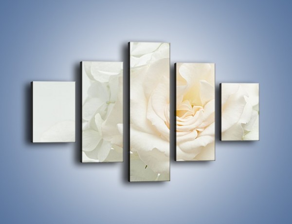 Obraz na płótnie – Czysta biel kwiatów – pięcioczęściowy K712W1