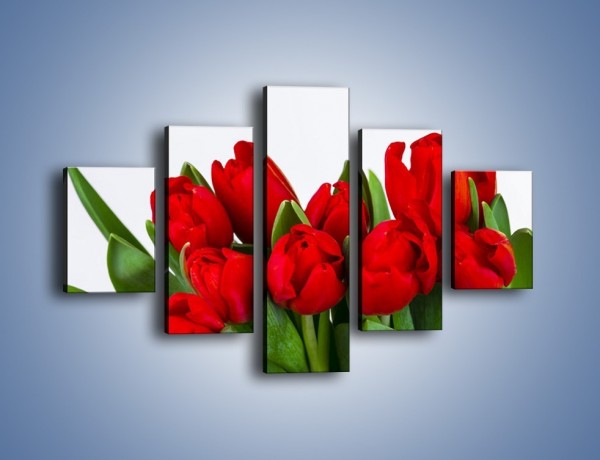 Obraz na płótnie – Tulipany na dzień kobiet – pięcioczęściowy K740W1