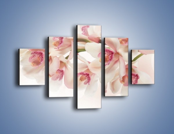 Obraz na płótnie – Szlachetne różowe storczyki – pięcioczęściowy K756W1