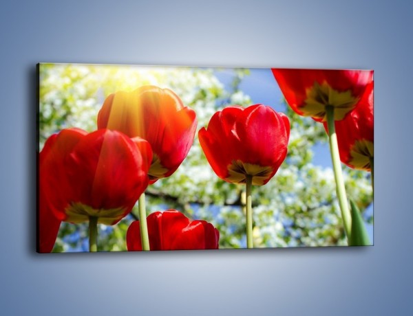 Obraz na płótnie – Słońce w kwiatowych łodygach – jednoczęściowy panoramiczny K865