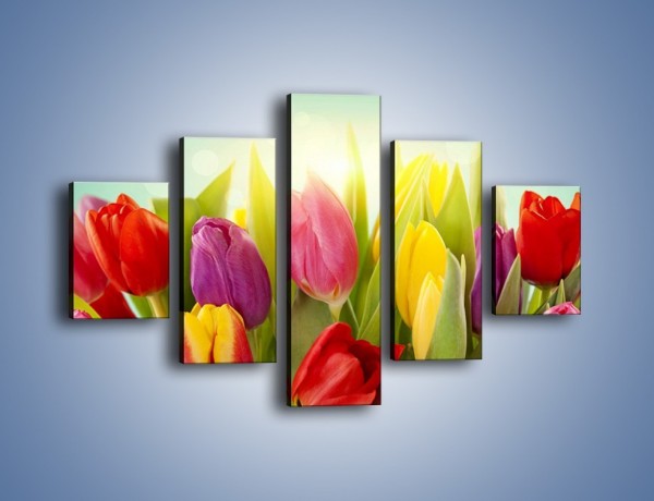 Obraz na płótnie – Tulipany w pierwszym rzędzie – pięcioczęściowy K760W1