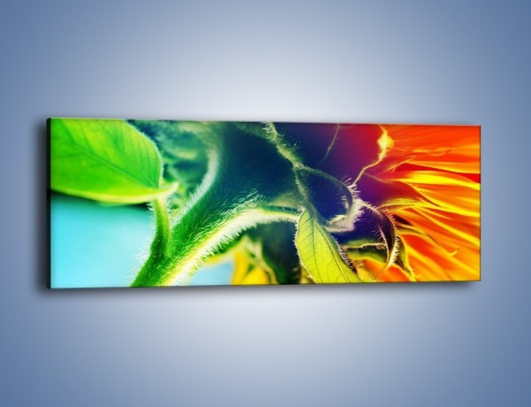 Obraz na płótnie – Twarda łodyga słonecznika – jednoczęściowy panoramiczny K866