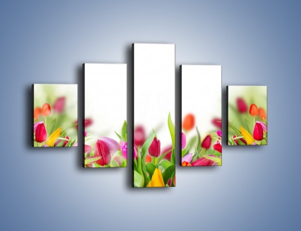 Obraz na płótnie – Tulipanowe bukieciki – pięcioczęściowy K763W1