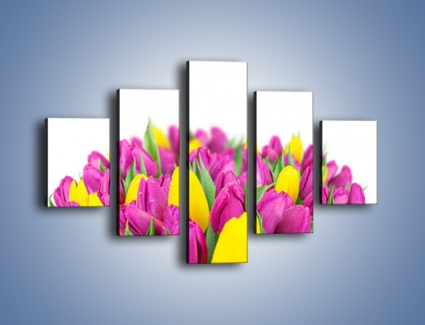 Obraz na płótnie – Bukiet fioletowo-żółtych tulipanów – pięcioczęściowy K778W1