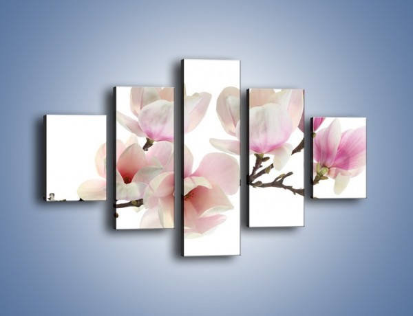 Obraz na płótnie – Zerwana gałązka magnolii – pięcioczęściowy K780W1