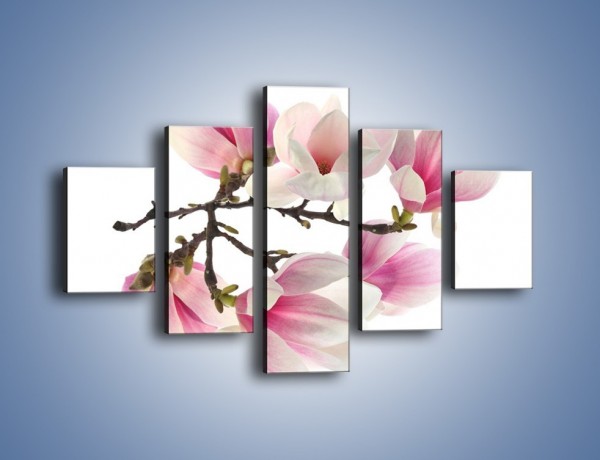 Obraz na płótnie – Wirujące kwiaty magnolii – pięcioczęściowy K781W1