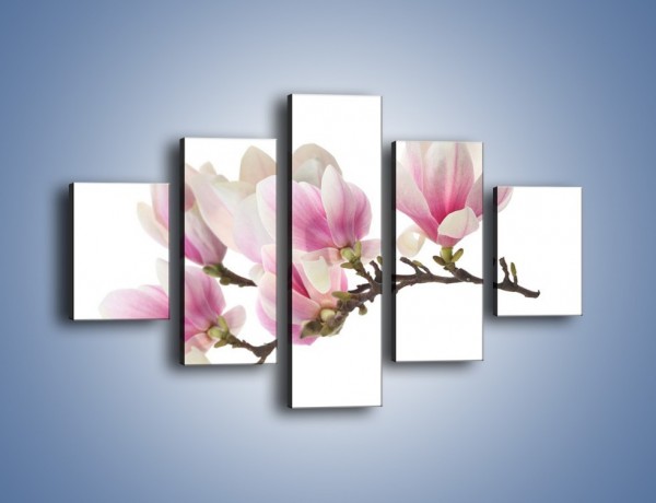 Obraz na płótnie – Rzut na gałąź magnolii – pięcioczęściowy K782W1