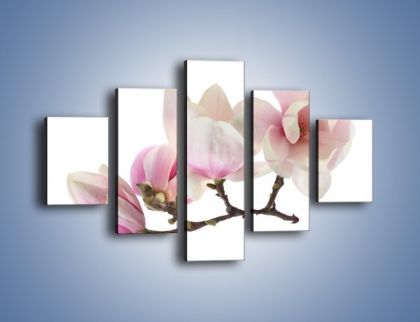 Obraz na płótnie – Obcięte gałązki białych różowych kwiatów – pięcioczęściowy K783W1