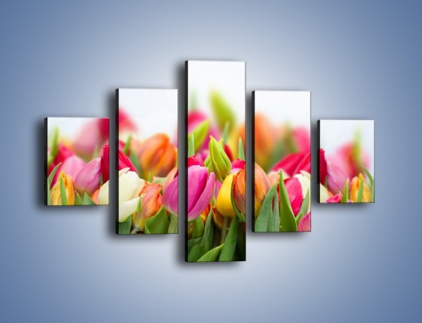 Obraz na płótnie – Ogrzane w słońcu tulipany – pięcioczęściowy K792W1