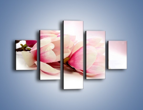 Obraz na płótnie – Gałąź magnolii na obłoku – pięcioczęściowy K817W1