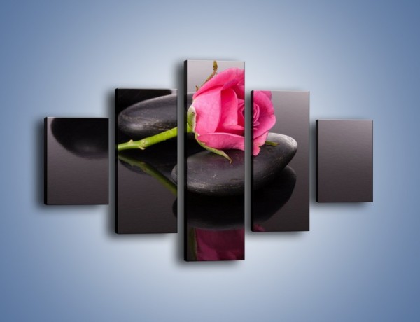 Obraz na płótnie – Ścięta róża na czarnej tafli – pięcioczęściowy K832W1