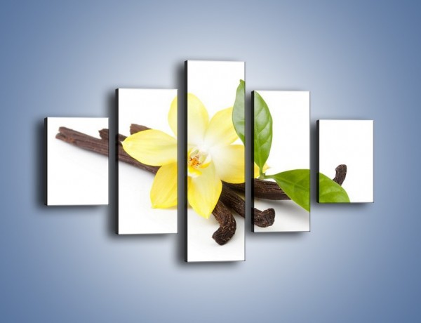 Obraz na płótnie – Samotny kwiat i dodatki – pięcioczęściowy K849W1