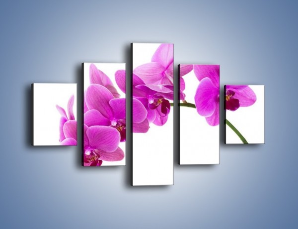 Obraz na płótnie – Kwiaty w lewą stronę – pięcioczęściowy K853W1