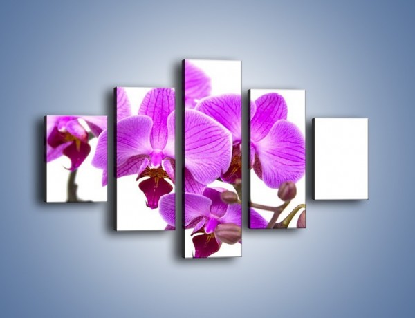 Obraz na płótnie – Samotne kwiaty bez dodatków – pięcioczęściowy K870W1